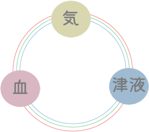 気血津液バランス_長津田鍼灸院