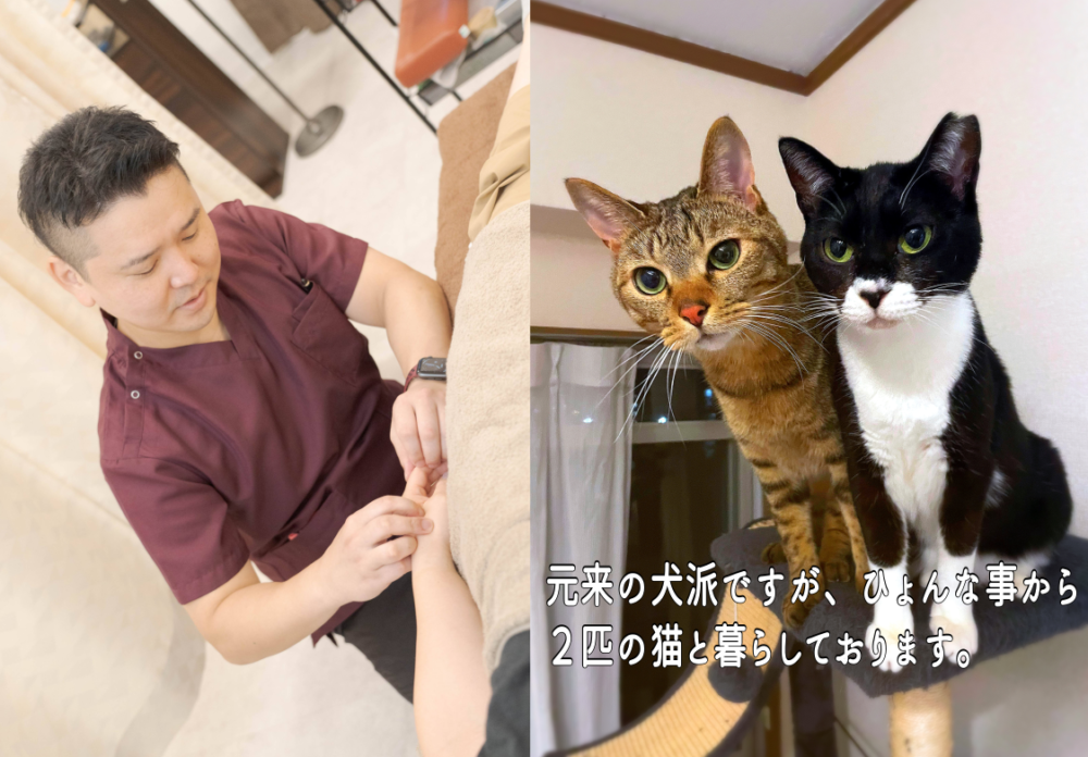 自己紹介