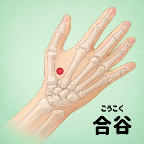 合谷の場所