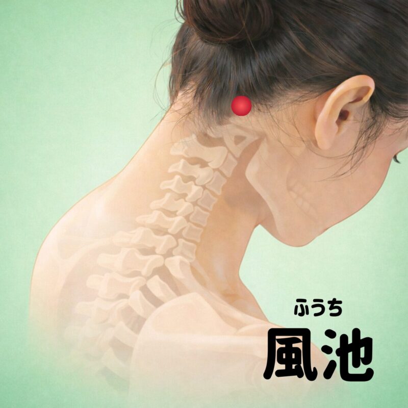 スマホやパソコンで頭痛・首こりがつらい方へ|座って押せるツボ【風池(ふうち)】 | 長津田櫻花堂治療院