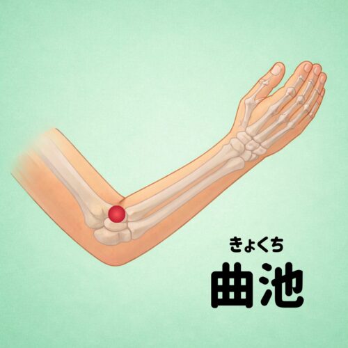 曲池の場所