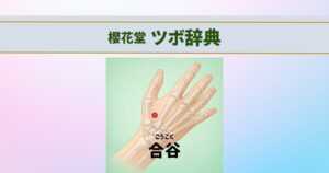 ツボ辞典合谷
