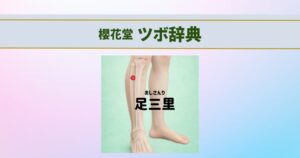 ツボ辞典足三里