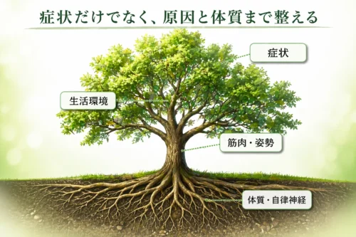 長津田の鍼灸院が考える症状・生活環境・筋肉や姿勢・体質と自律神経の関係を示した治療方針の図