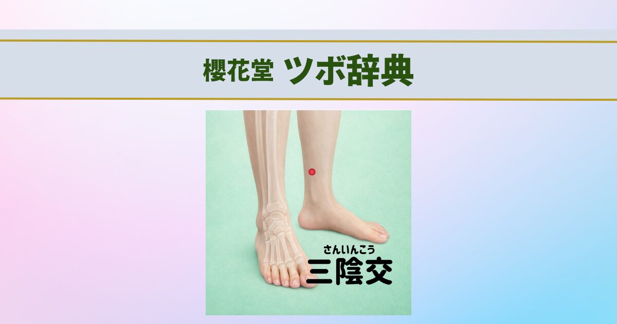 冷え・むくみで足がつらい方へ｜すぐ押せるツボ【三陰交（さんいんこう