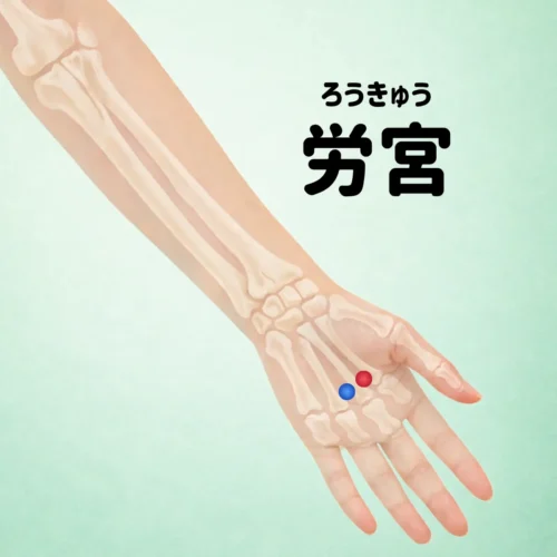 手のひら中央にある労宮の位置を示した画像。ストレスや手汗、自律神経の乱れに使われるツボ