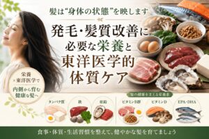 発毛や髪質改善に必要なタンパク質、鉄、亜鉛などの栄養素と東洋医学的な体質ケアを紹介するイメージ画像