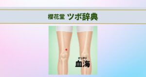 血海のツボの位置と下肢の骨格を透過表示した櫻花堂ツボ辞典のアイキャッチ画像