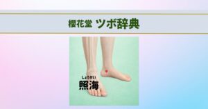 照海のツボの位置と足首周囲の骨格を透過表示した櫻花堂ツボ辞典のアイキャッチ画像